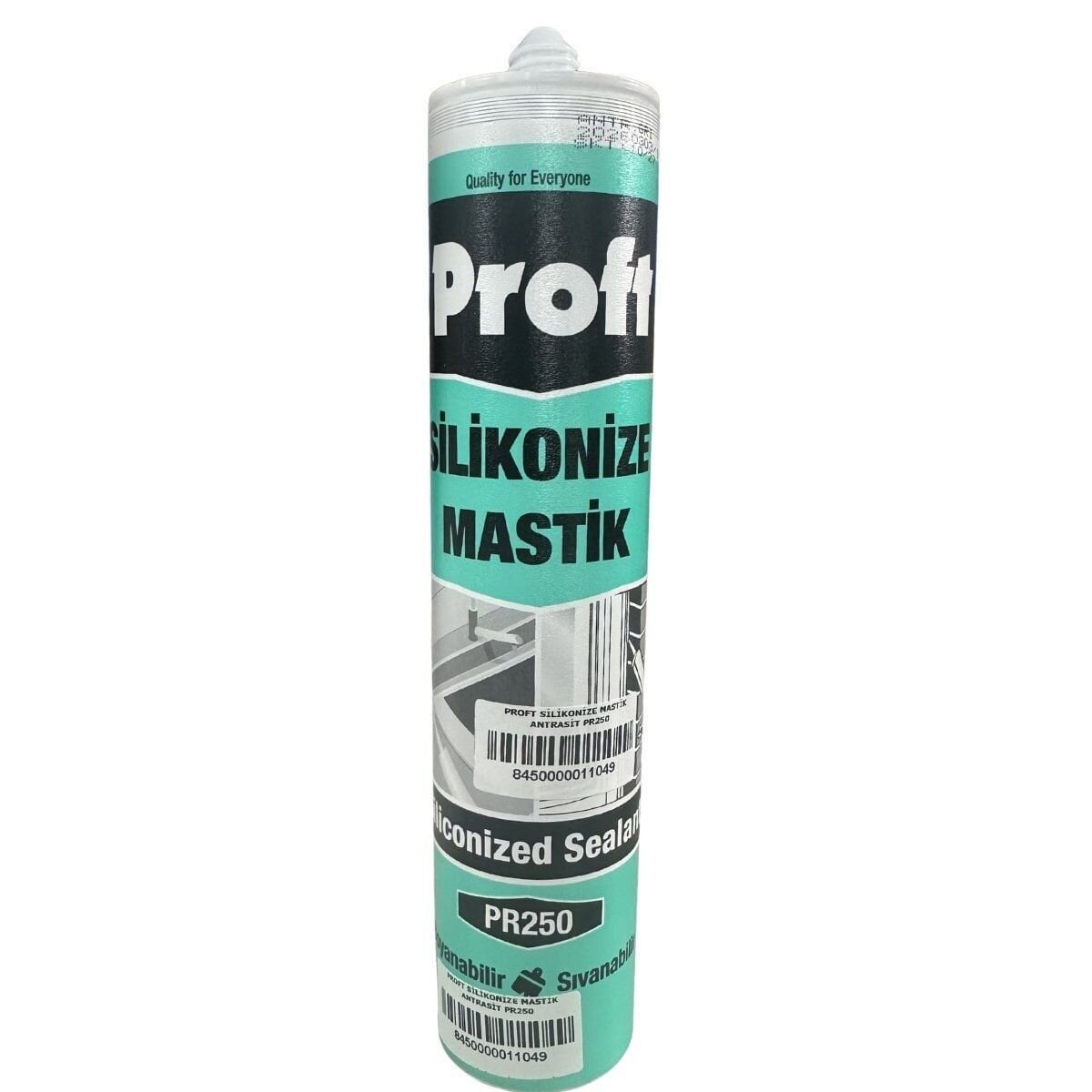 PROFT SİLİKONİZE MASTİK ANTRASİT PR250