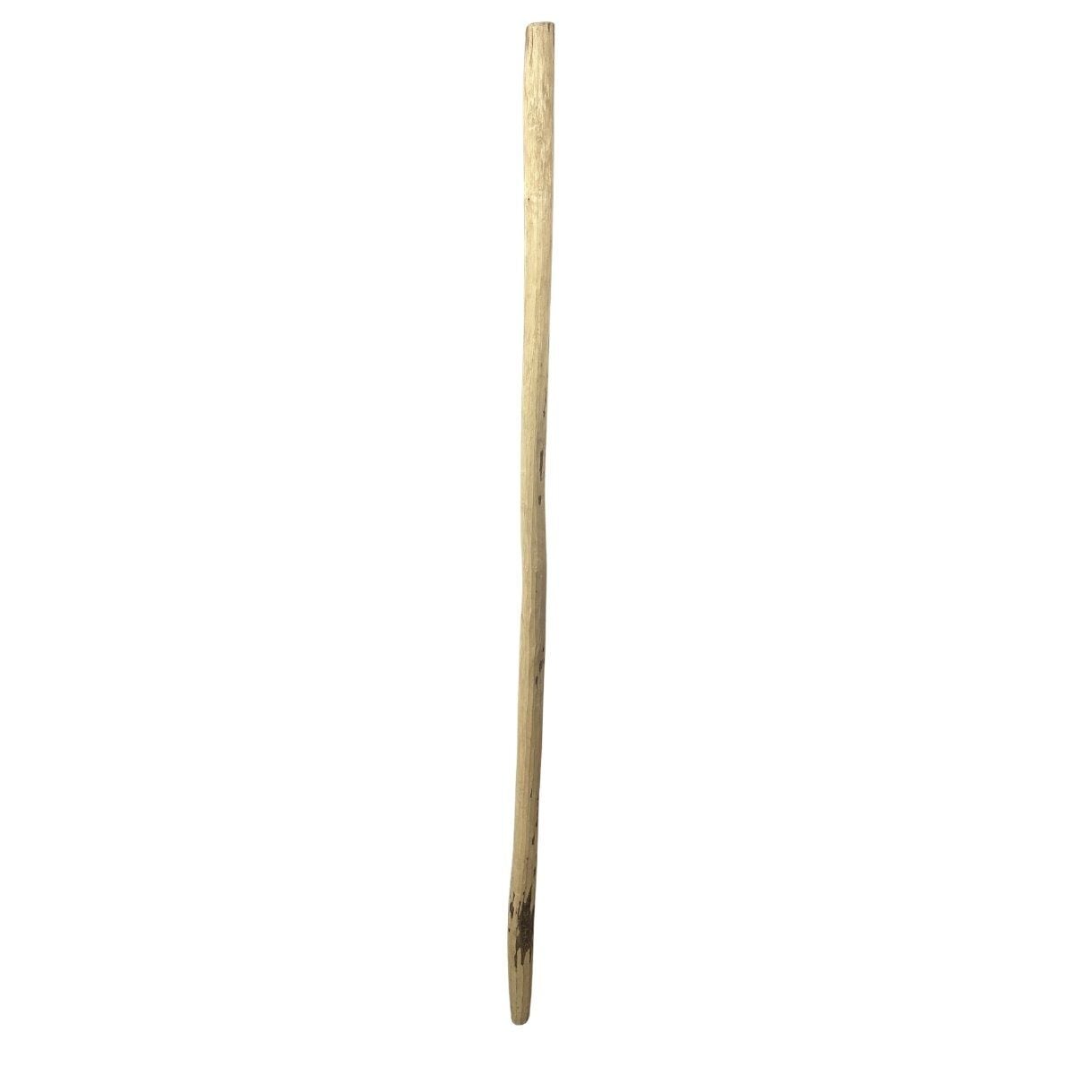 KÜREK SAPI