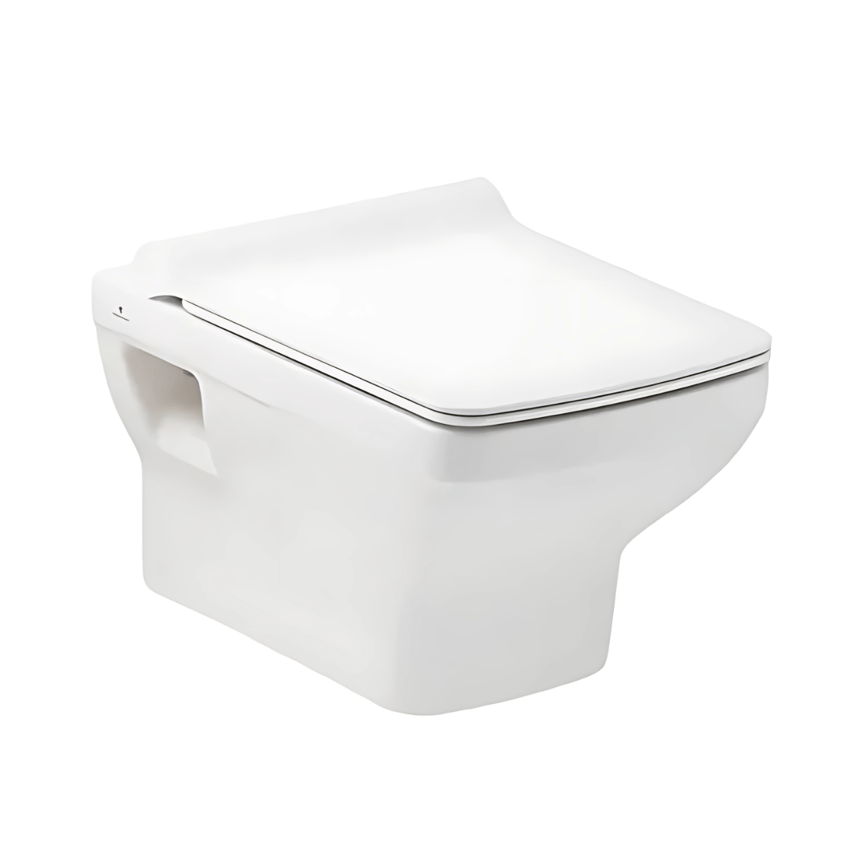 Seramiksan Asma Klozet Silva