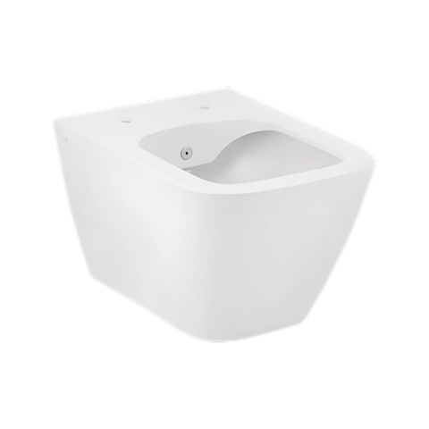 Seramiksan Saturn Rim-Out Mat Beyaz Asma Klozet