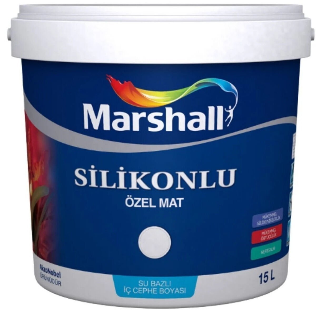Marshall Silikonlu Özel Mat Boya