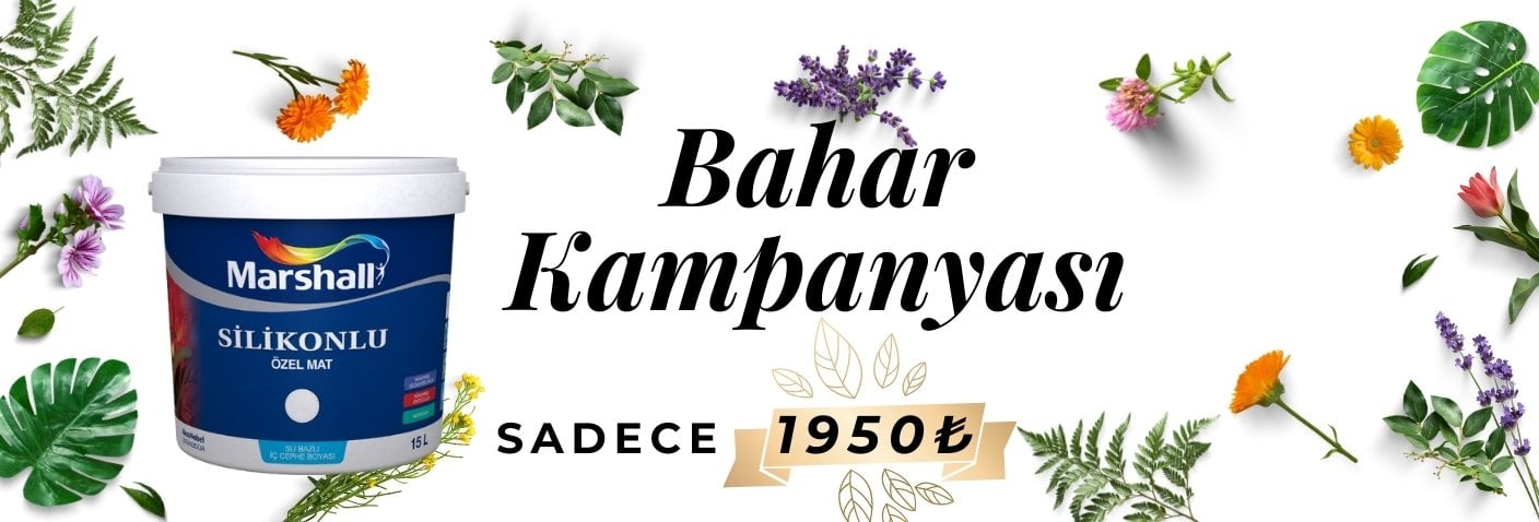 Marshall Silikonlu Mat Boya